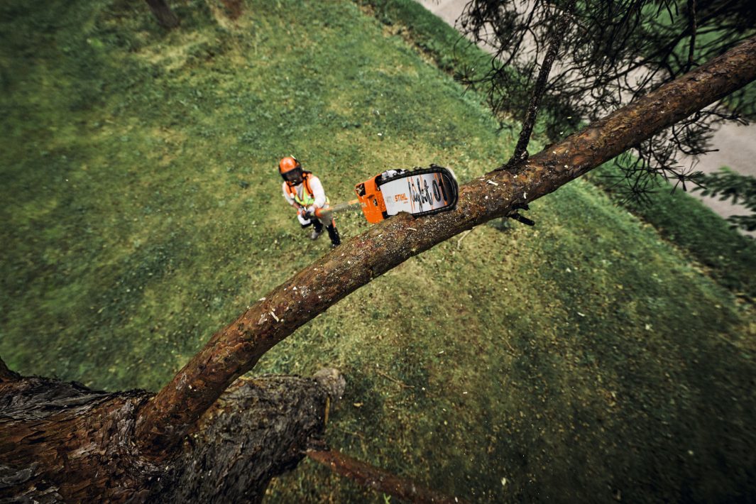 Stihl Akku-Hochentaster HTA 160 B, ohne Akku und Ladegerät