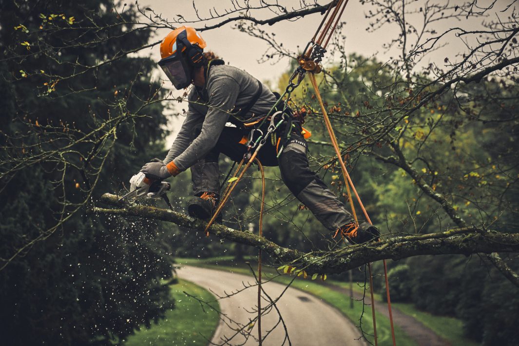 Stihl GTA 40 Akku-Gehölzschneider AS-System, ohne Akku und ohne Ladegerät
