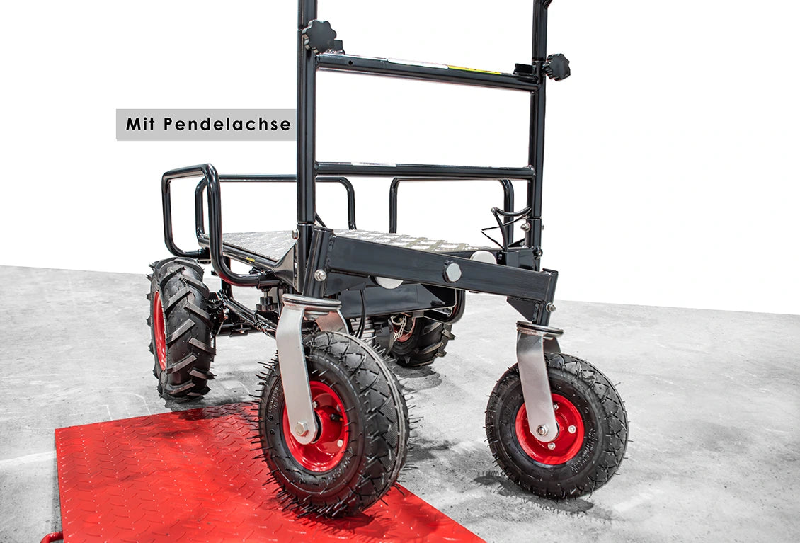 Wematik elektrische Schubkarre Regina mit Rückwärtsgang